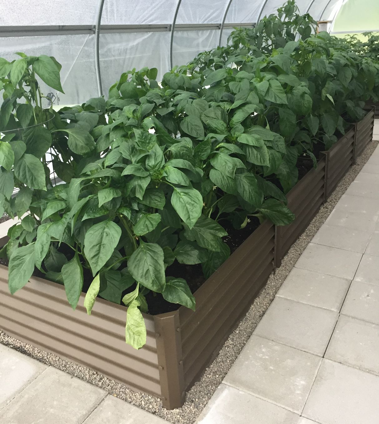 rustic fresa alt view 2