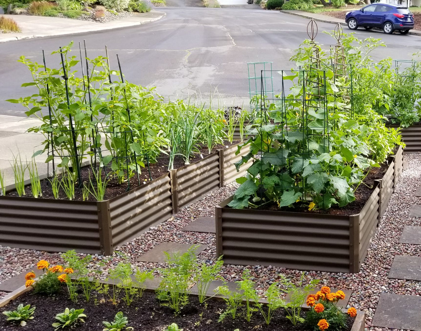 rustic largo alt view 1