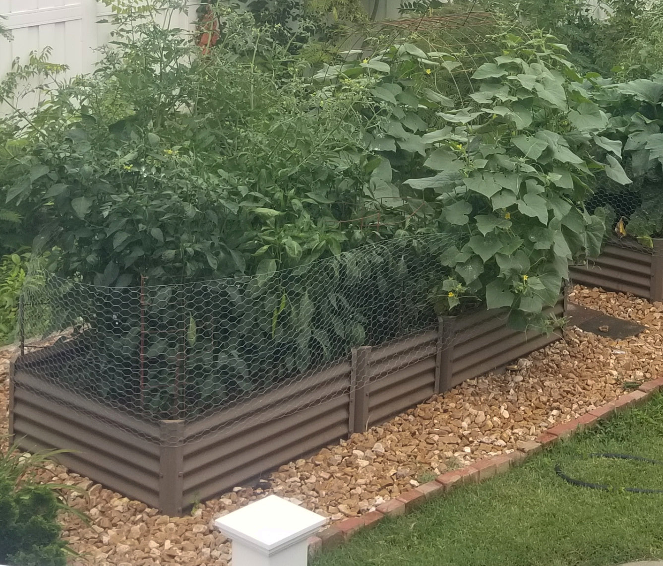 rustic exacto raised garden in yard with cucumber, peppers, tomatoes