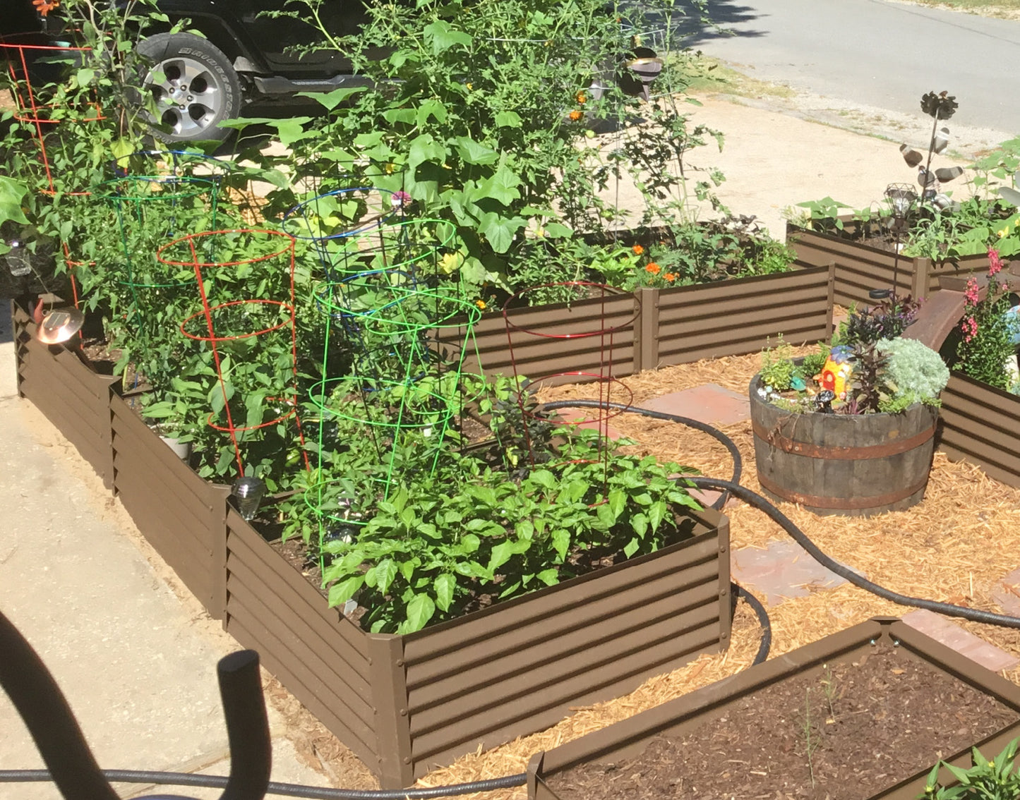 rustic long L garden bed with peppers