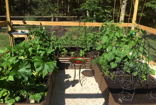 rustic long u raised bed with squash, cucumbers