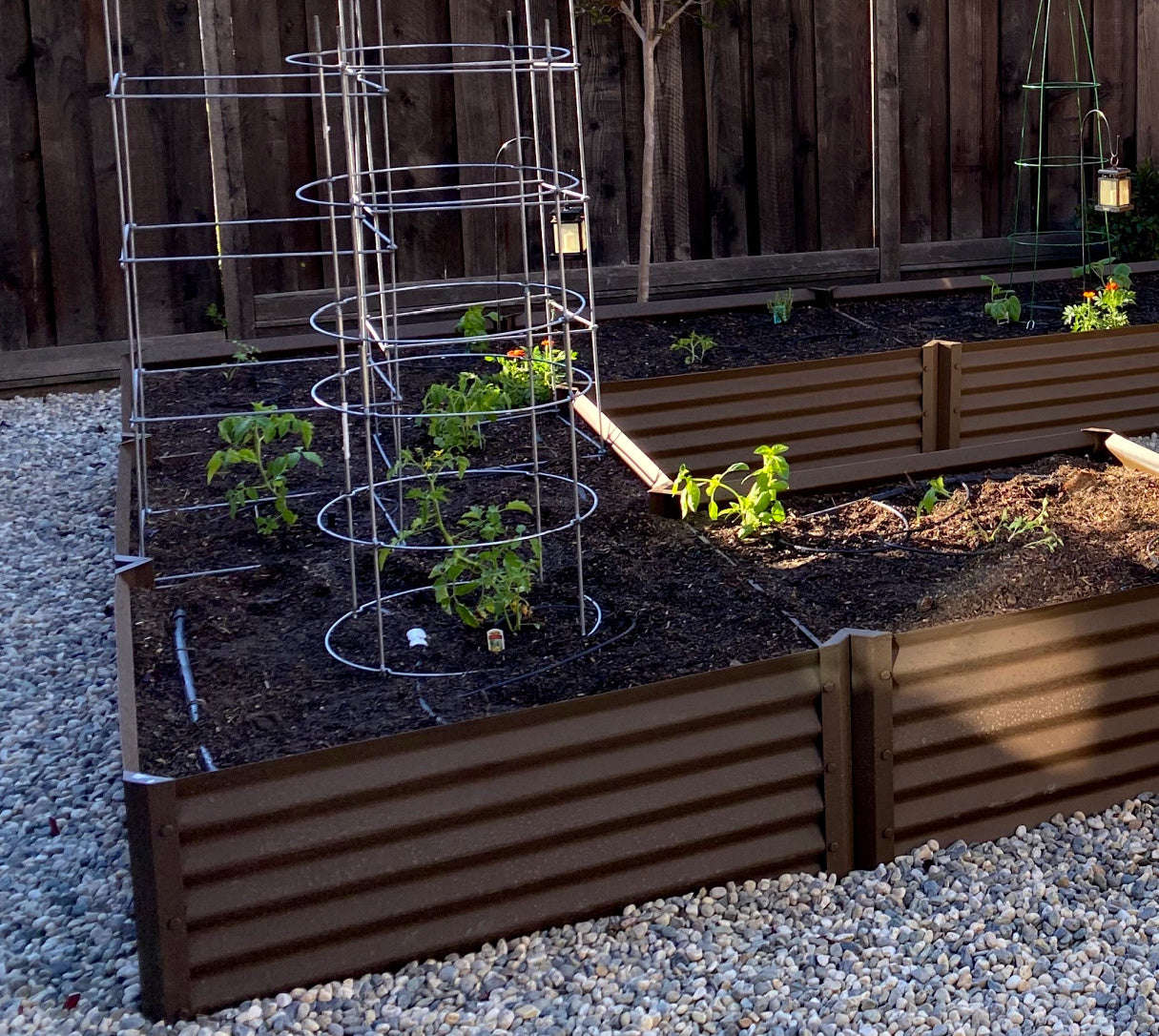 rustic mezcla garden bed with tomatoes