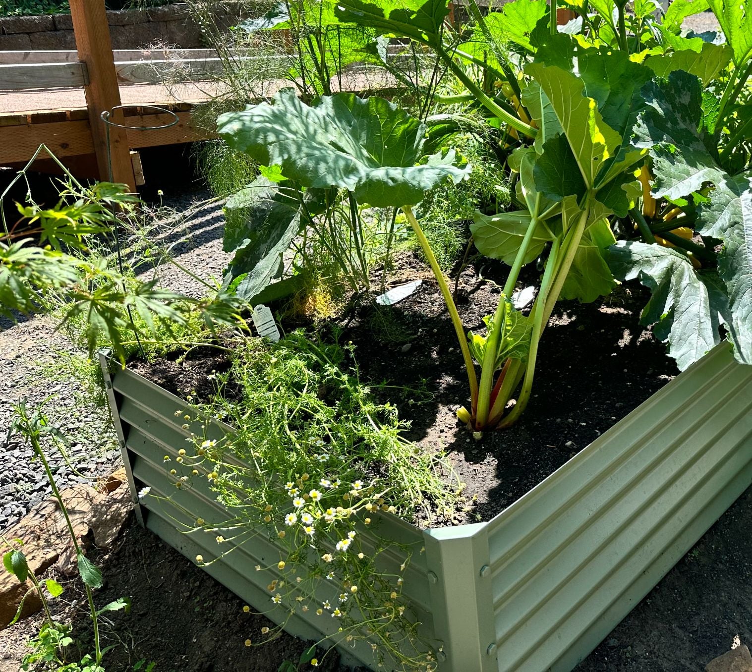 SAGE CUADRA – Metal Garden Beds, Inc.