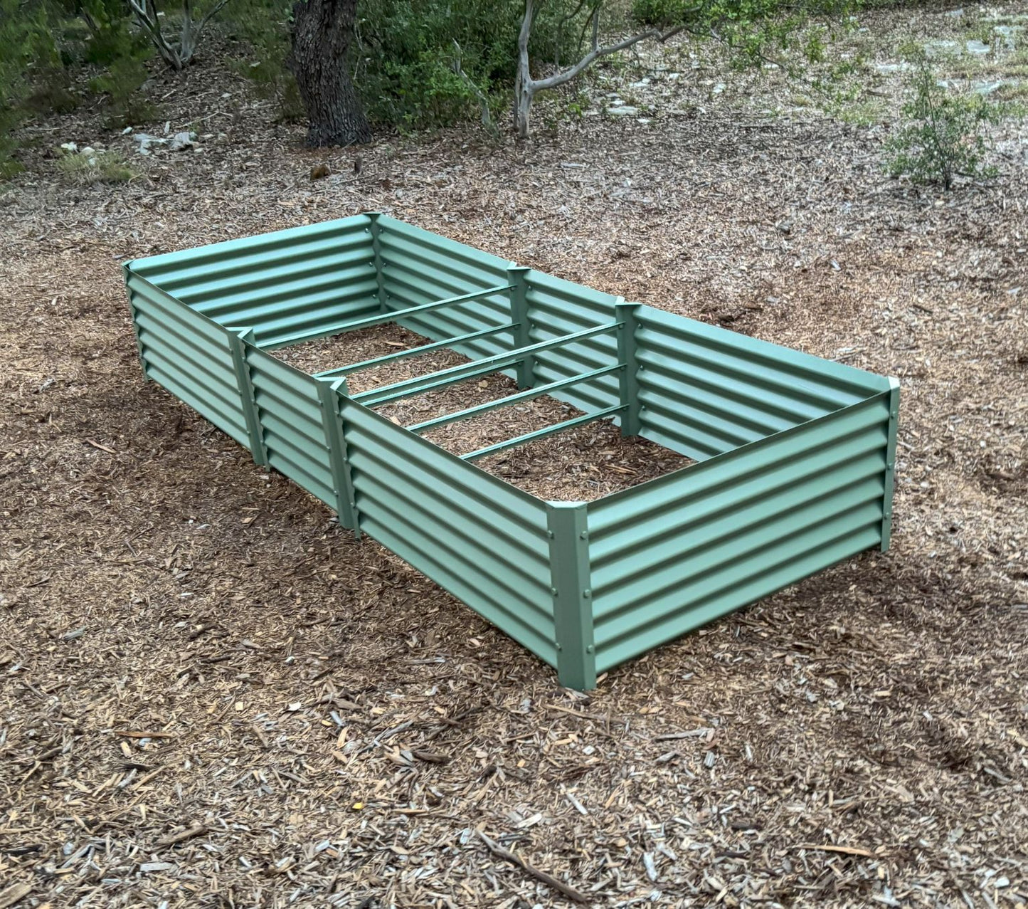 sage exacto garden bed