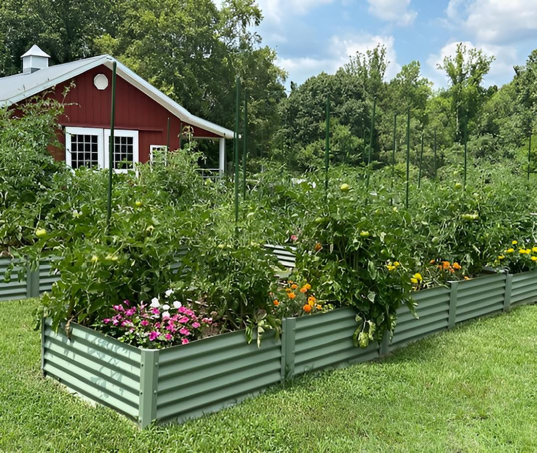 sage extender alt view 1