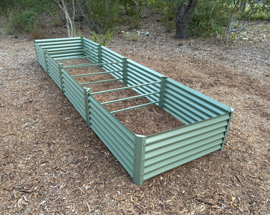sage fresa garden bed
