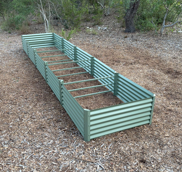 sage sandia garden bed