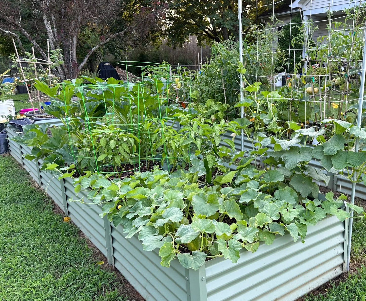 sage sandia alt view 3