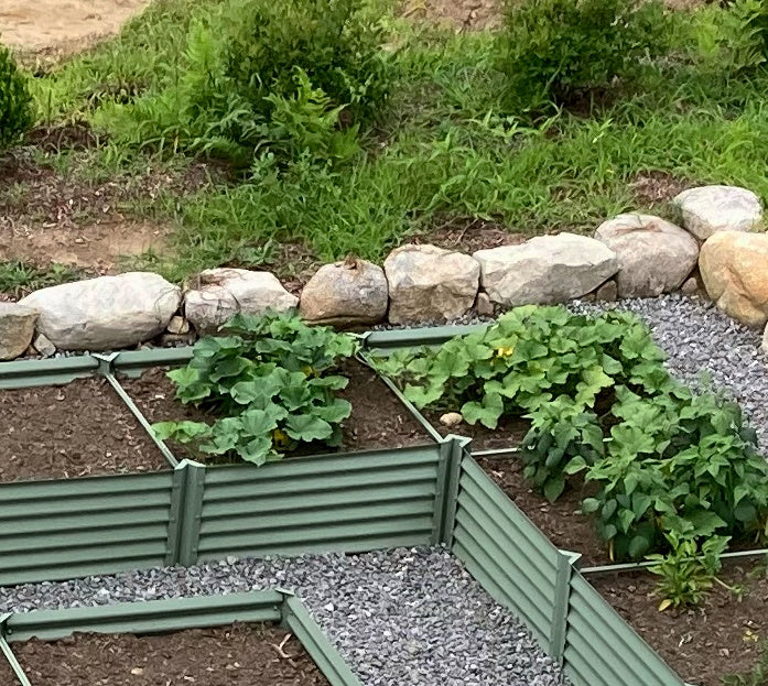sage long l raised bed with butternut squash and peppers