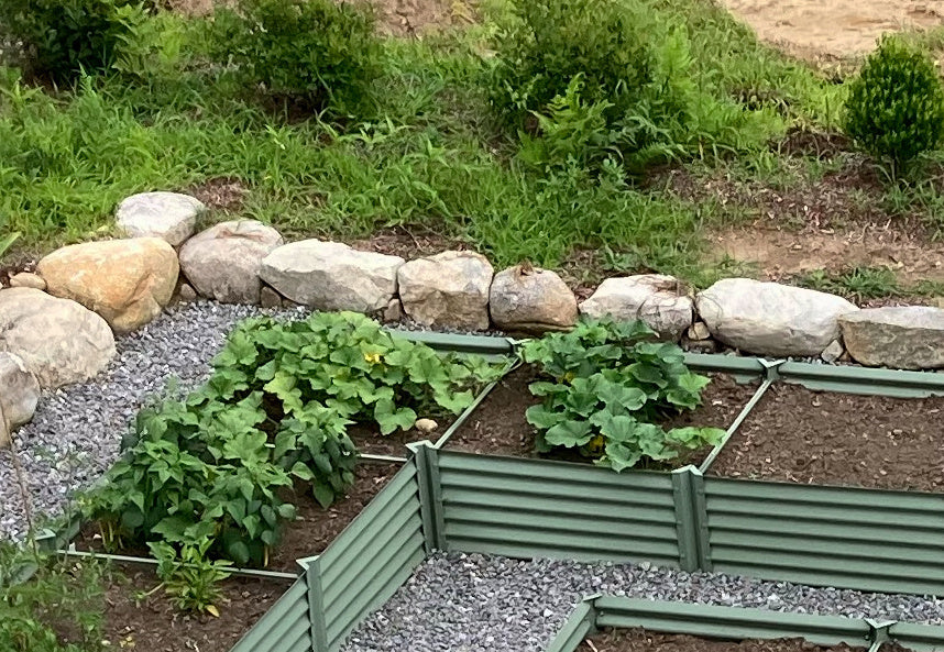 sage long l garden bed with peppers and squash