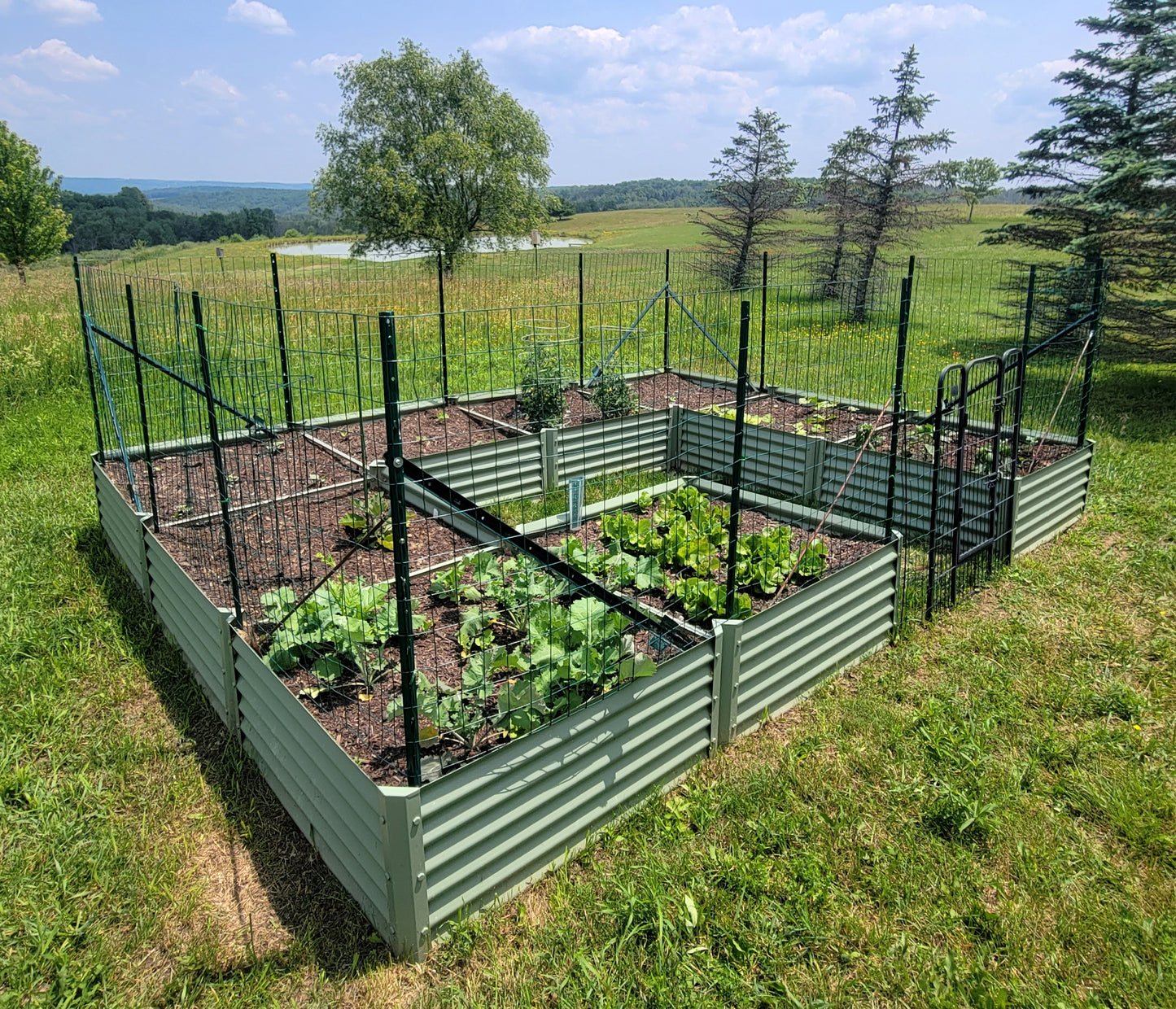 sage mezcla garden bed in country setting