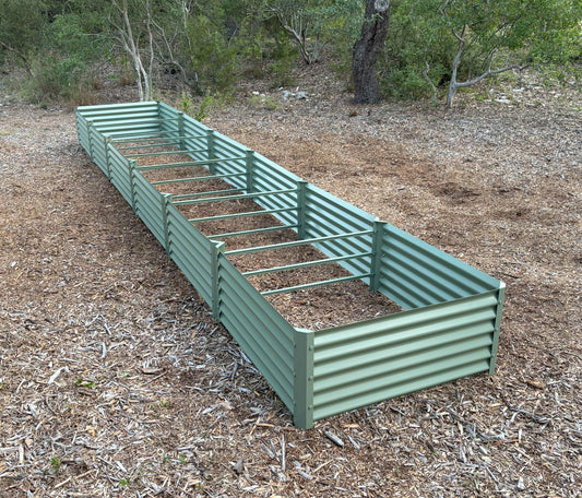 sage zapallo garden bed
