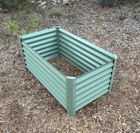 salvia garden bed