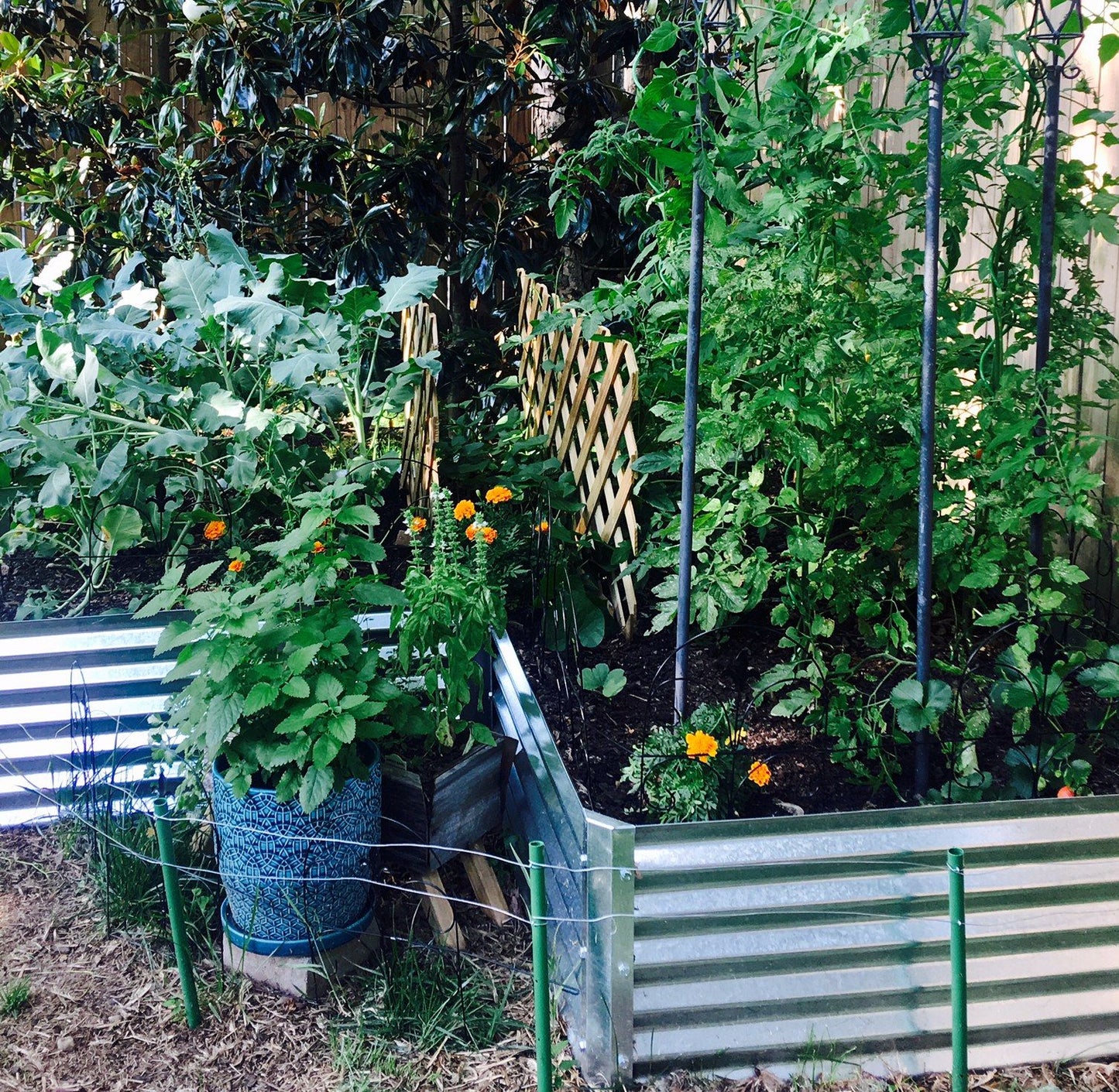step garden bed in yard