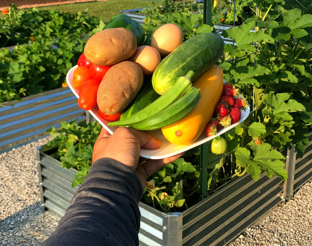 the harvest